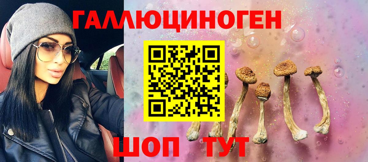 Галлюциногенные грибы Psilocybine cubensis  Вход с VPN  Курчатов  Псилоцибиновые грибы мицелий 